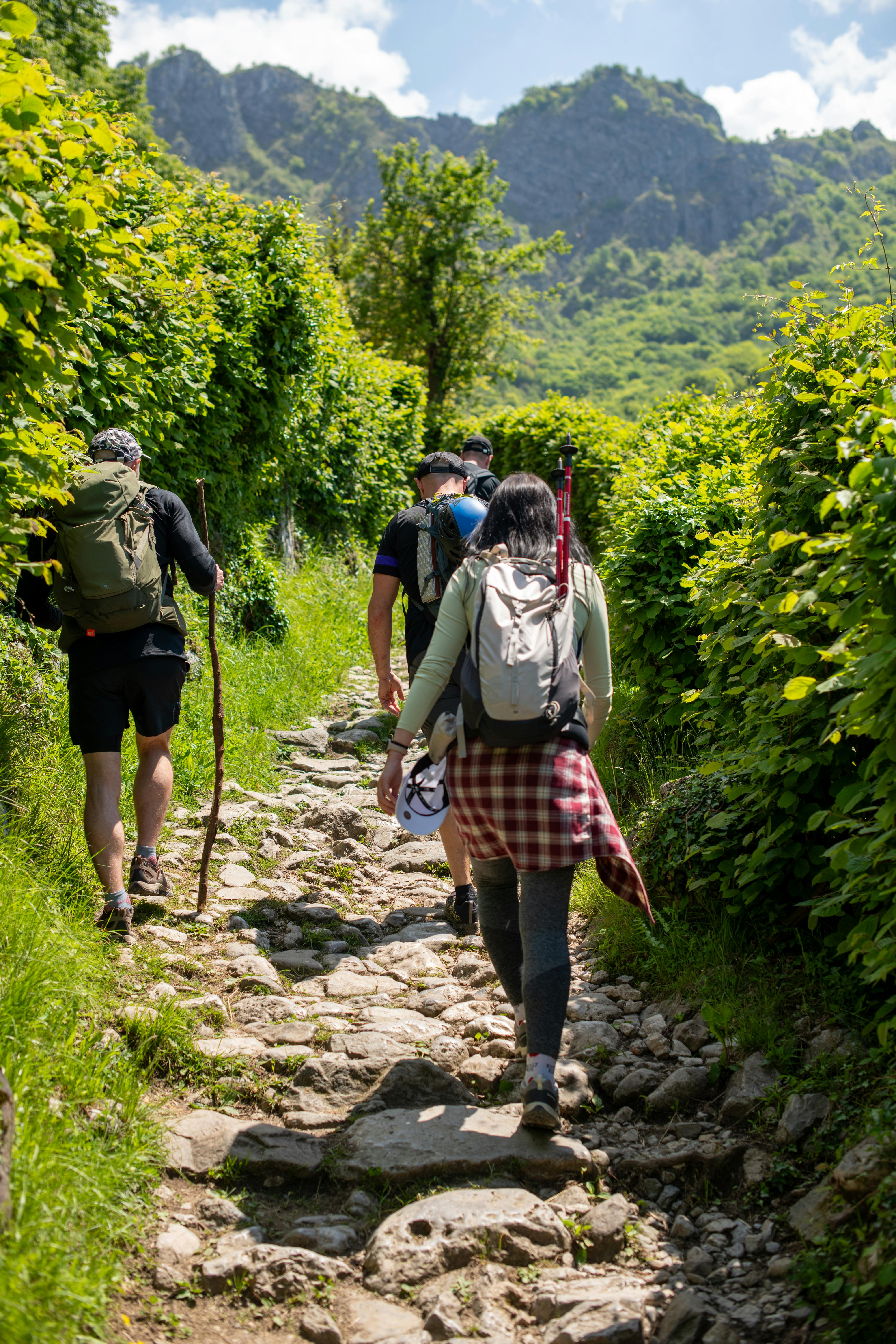 Trekkings Consciente