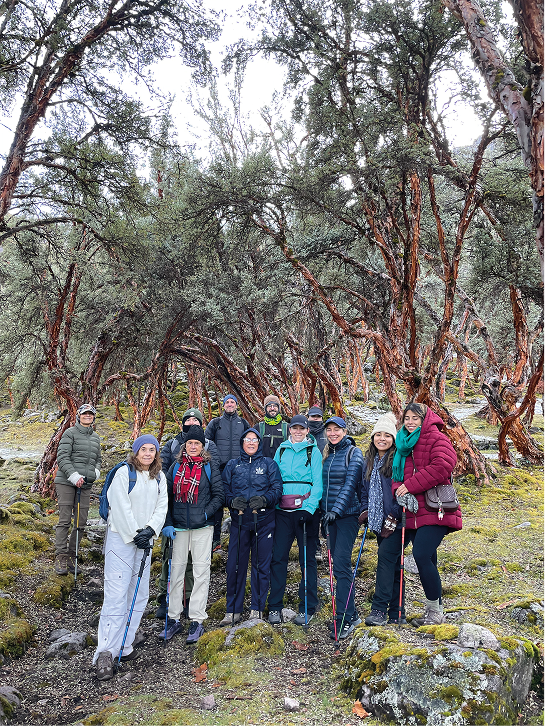 Grupo en Cusco